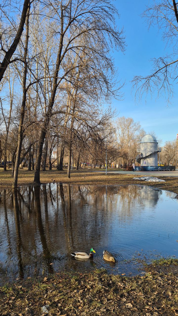 Знаете ли вы, что 31 октября — Всемирный день городов? Знаете ли вы, что 31 октября — Всемирный день городов?