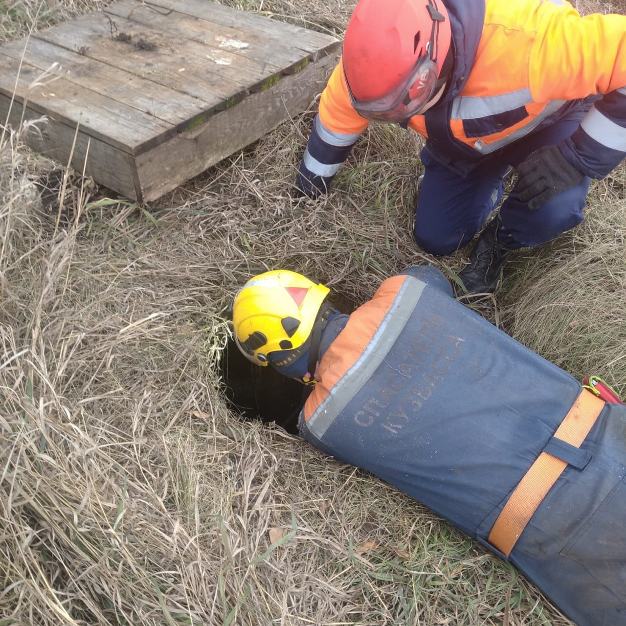 В Кемеровском округе спасли шесть щенков! В Кемеровском округе спасли шесть щенков!