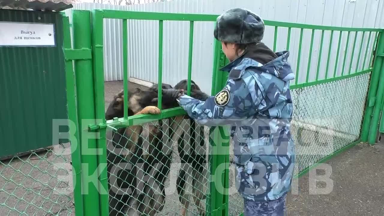 «Он – участник парада, она – завидная невеста, их дети – родились в День 80-тилетия Великой Победы!»