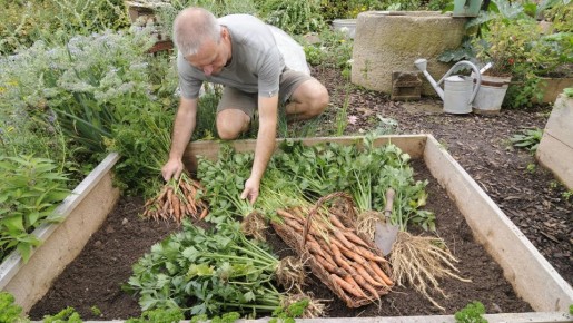 Земля пустовать не должна: вот что сделайте с грядками после сбора урожая