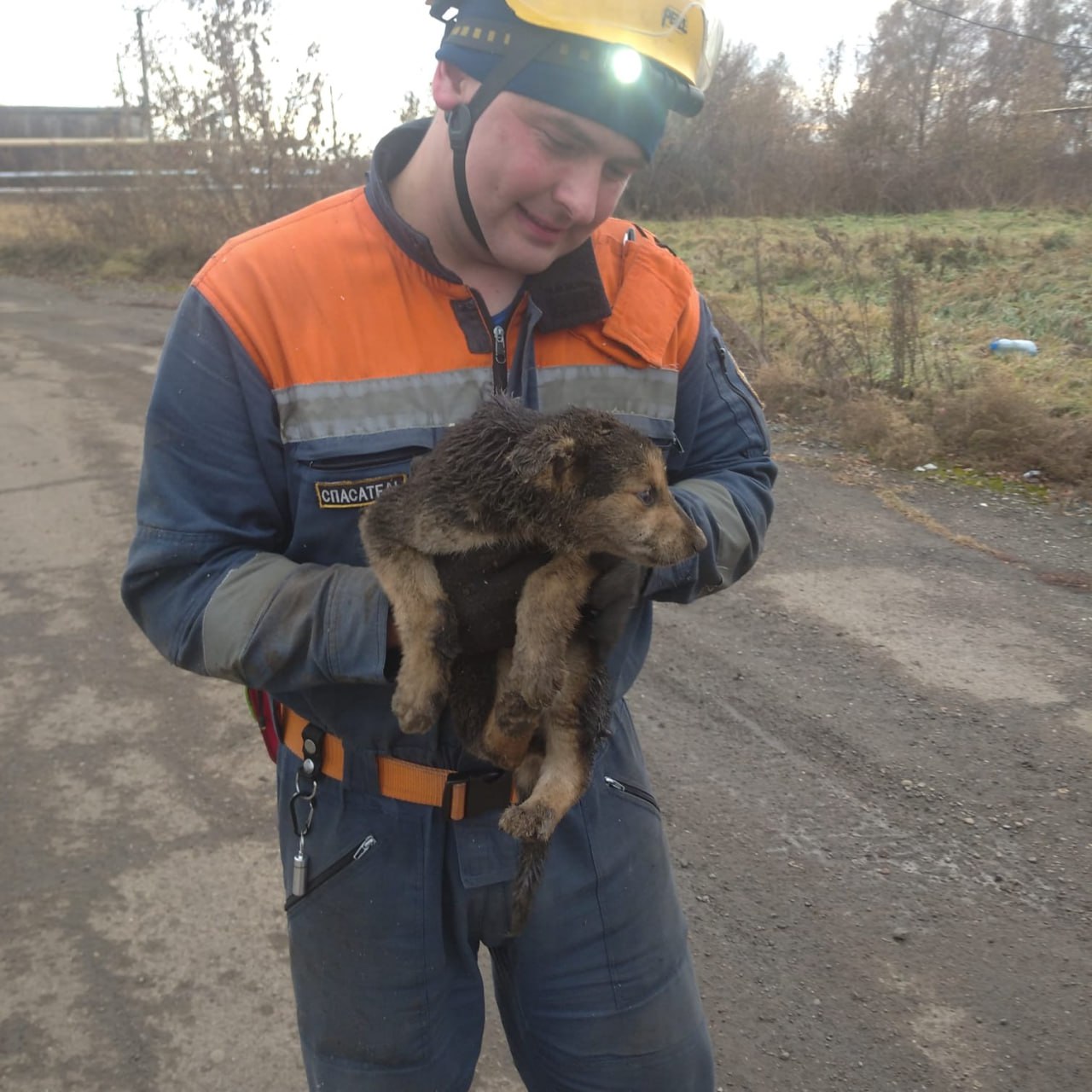 В Кемеровском округе спасли шесть щенков! В Кемеровском округе спасли шесть щенков!