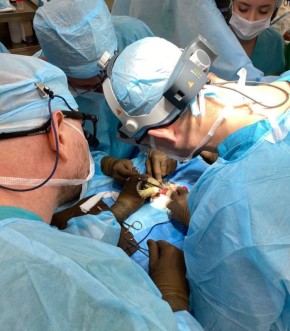 В Кемерове спасли месячного младенца методом, который применяли последний раз полвека назад