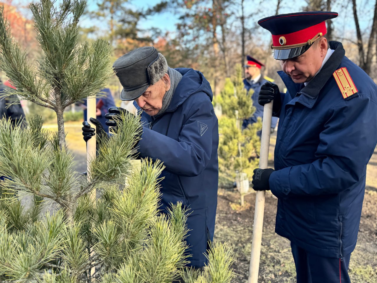В Кузбассе сотрудники СК России совместно с ветераном Великой Отечественной войны высадили памятную аллею В Кузбассе сотрудники СК России совместно с ветераном Великой Отечественной войны высадили памятную аллею