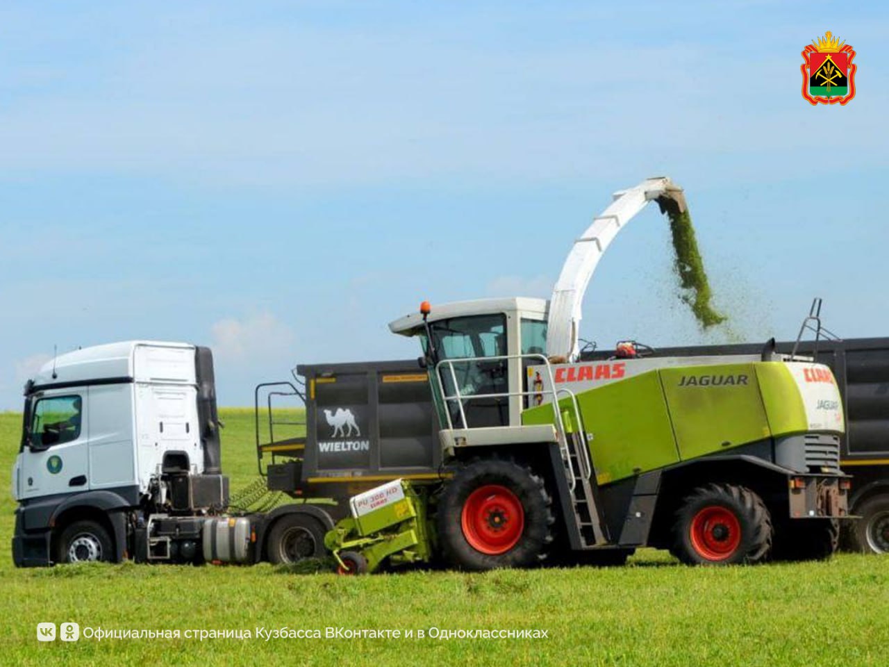 Илья Середюк рассказал о рекордных урожаях в Кузбассе Илья Середюк рассказал о рекордных урожаях в Кузбассе