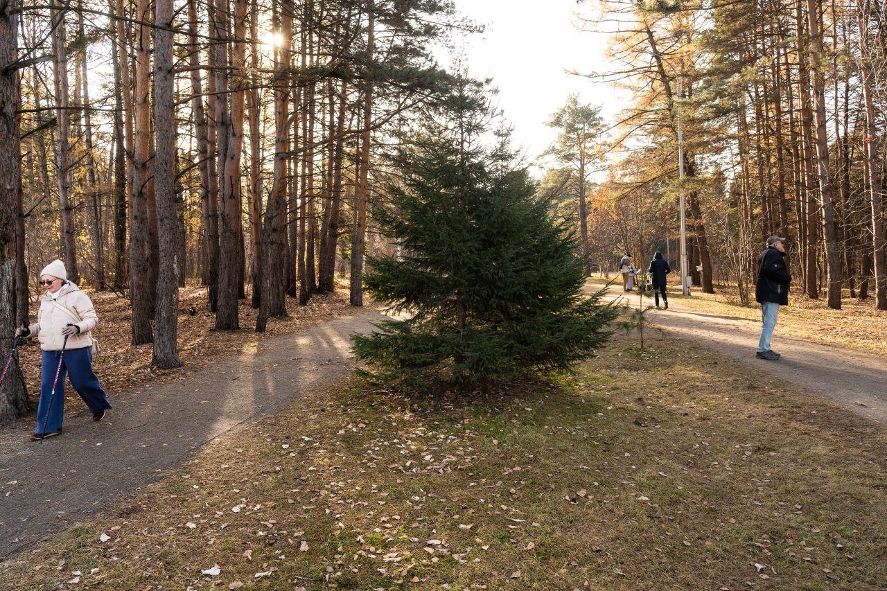 В Рудничном бору волонтеры вновь провели субботник – прямо у входа, справа от центральной аллеи В Рудничном бору волонтеры вновь провели субботник – прямо у входа, справа от центральной аллеи