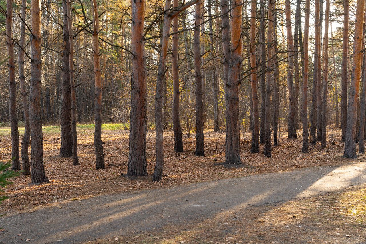 В Рудничном бору волонтеры вновь провели субботник – прямо у входа, справа от центральной аллеи В Рудничном бору волонтеры вновь провели субботник – прямо у входа, справа от центральной аллеи