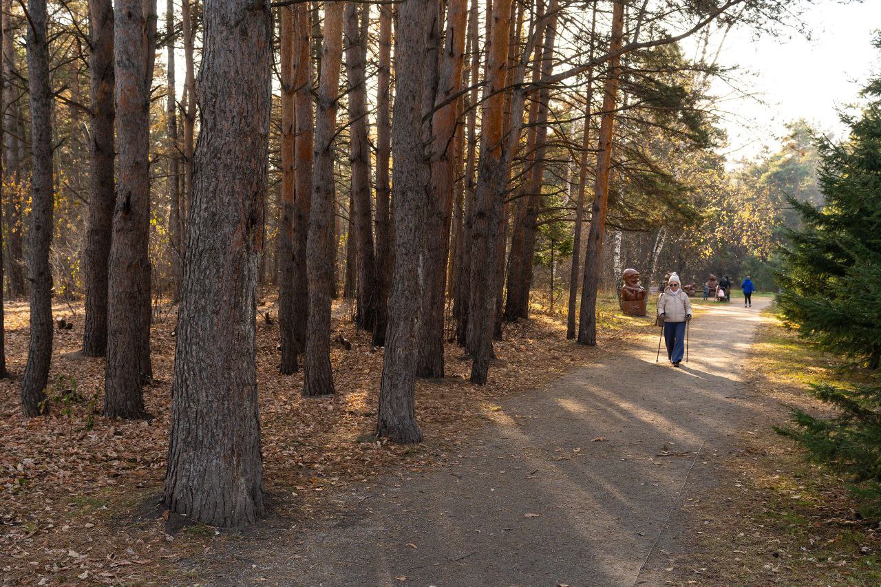 В Рудничном бору волонтеры вновь провели субботник – прямо у входа, справа от центральной аллеи В Рудничном бору волонтеры вновь провели субботник – прямо у входа, справа от центральной аллеи