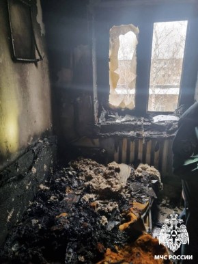 Двое детей и мать погибли в пожаре в Топках