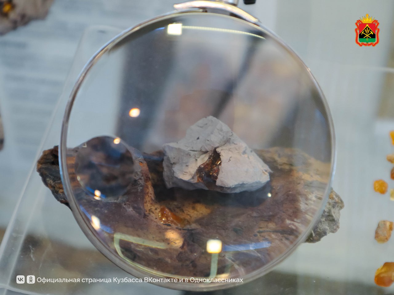 В Кузбассе обнаружили уникальный янтарь возрастом более 100 млн лет В Кузбассе обнаружили уникальный янтарь возрастом более 100 млн лет