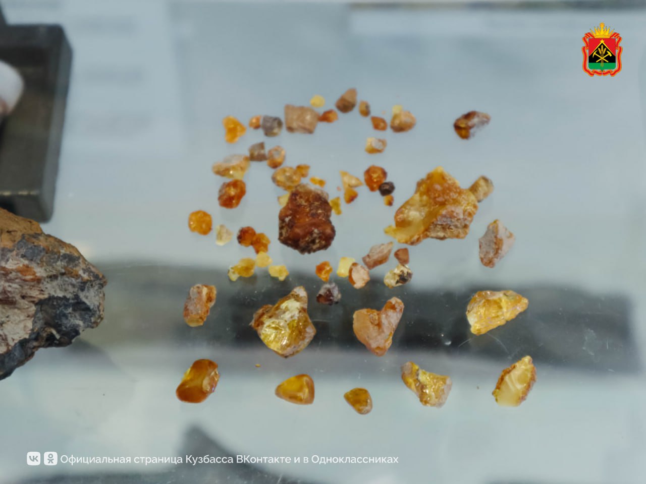 В Кузбассе обнаружили уникальный янтарь возрастом более 100 млн лет