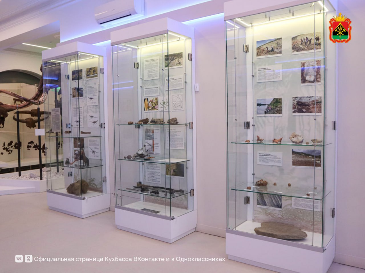 В Кузбассе обнаружили уникальный янтарь возрастом более 100 млн лет В Кузбассе обнаружили уникальный янтарь возрастом более 100 млн лет