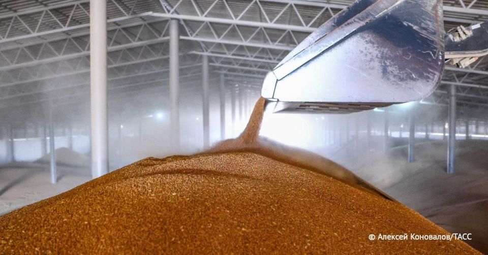       35%    2024     1,5  ,   