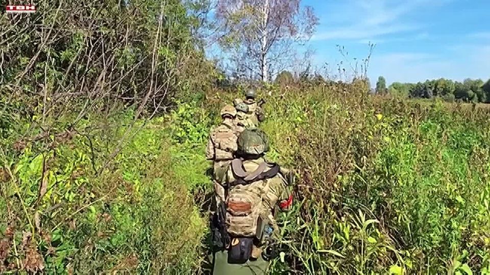 Анонс программы "Всё моё" от 11.11.25