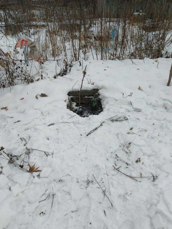 Вытащили с глубины 2 метров: в Кемерове бездомный пёс провалился в заброшенную яму