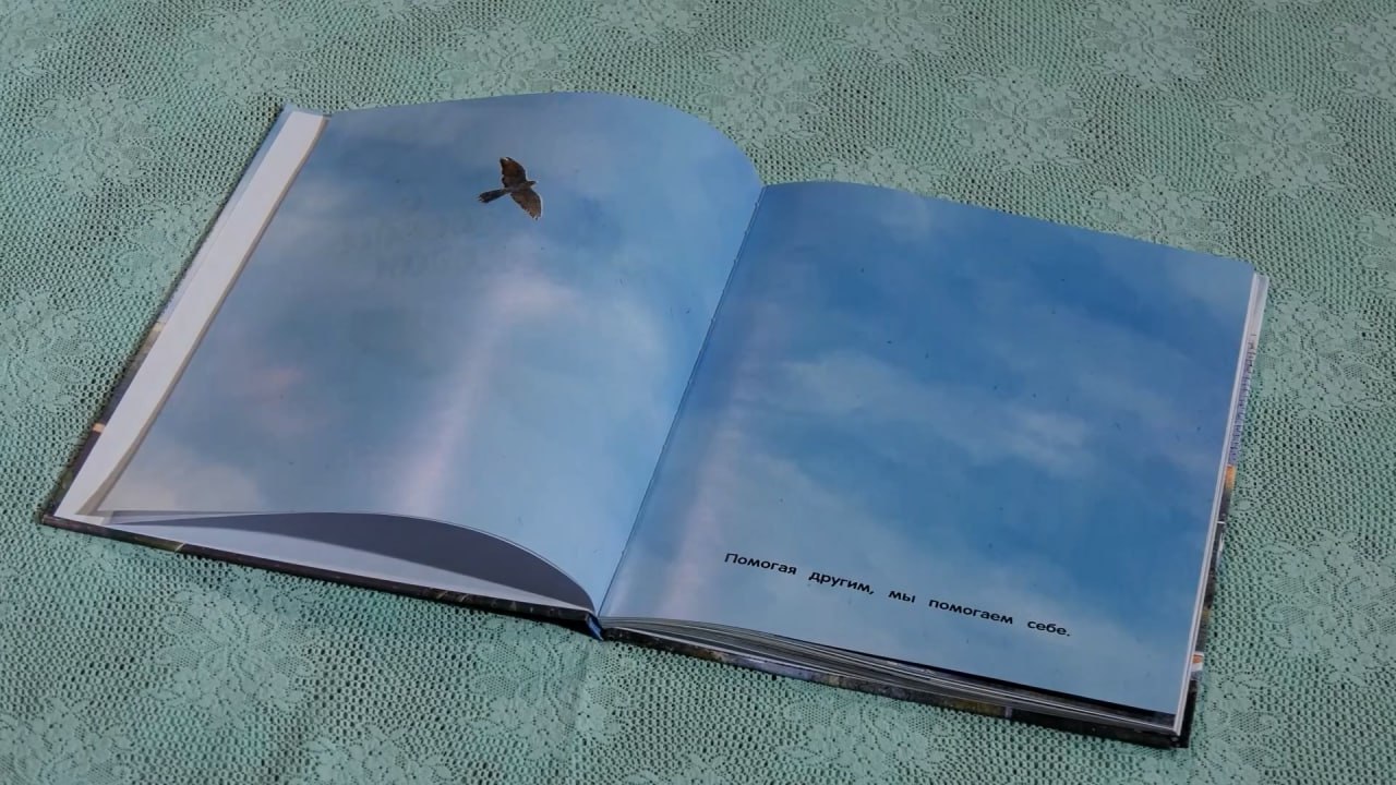 Герои программы «Всё моё» получают престижные литературные премии, изучают основы спортивного ориентирования, знают всё о джазе в Сибири: Герои программы «Всё моё» получают престижные литературные премии, изучают основы спортивного ориентирования, знают всё о джазе в Сибири: