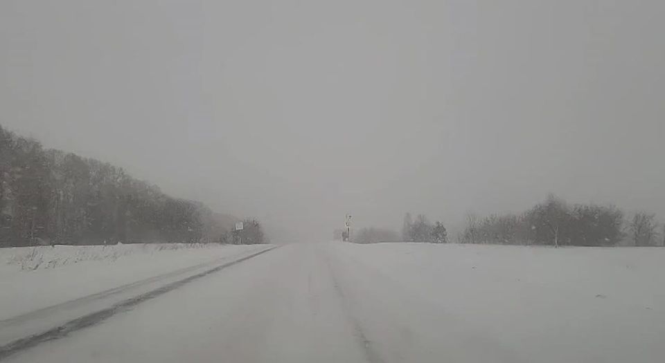 237   &quot; -  -  - &quot;,   