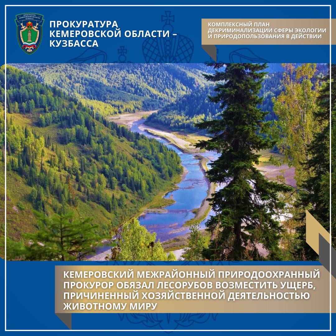 Комплексный план декриминализации сферы экологии и природопользования в действии