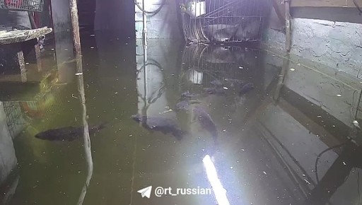 В доме в городе Белово в Кузбассе давно затоплен подвал