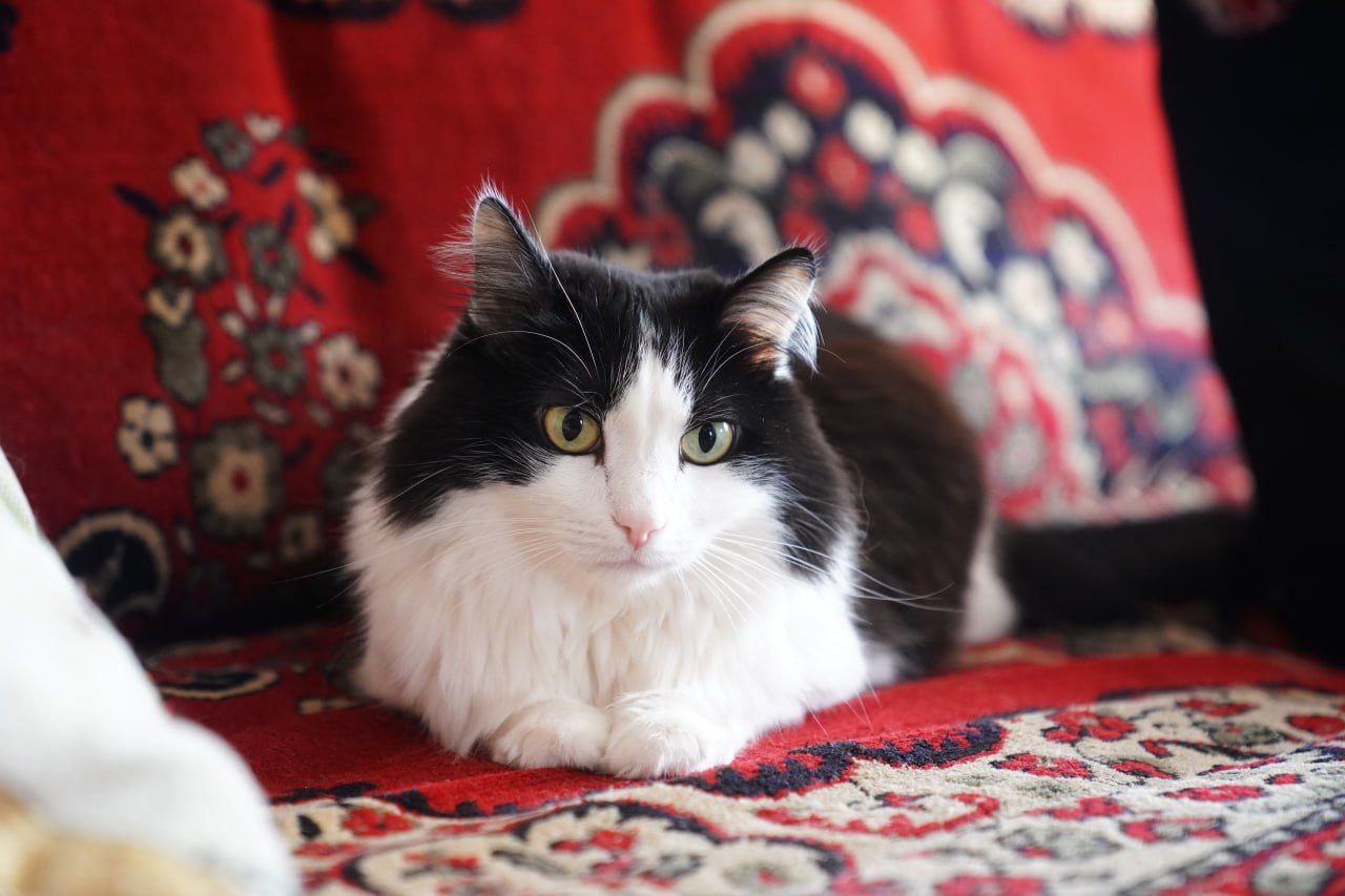 Поздравления сегодня принимает кемеровчанка Зоя Фёдоровна Плотникова: труженице тыла исполнилось 103 года Поздравления сегодня принимает кемеровчанка Зоя Фёдоровна Плотникова: труженице тыла исполнилось 103 года