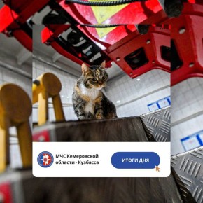 За дежурные сутки с 12 по 13 ноября пожарно-спасательные подразделения Кузбасса ликвидировали пожара: