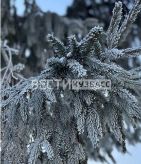 Морозы этой ночью придут в Кузбасс