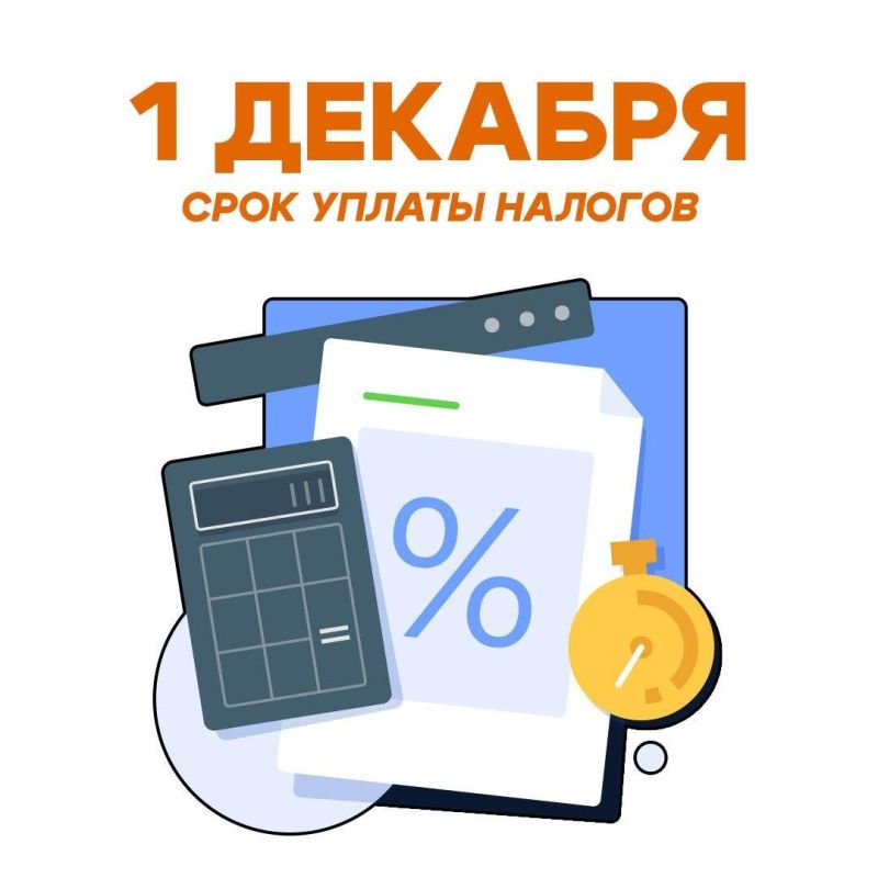 Жителям Кузбасса напоминают: до 1 декабря нужно уплатить имущественные налоги — на имущество, землю и транспорт