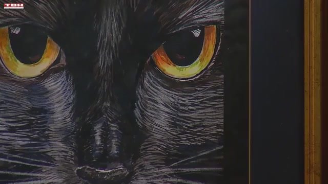 Анонс программы "Квартира №50" от 14.11.25