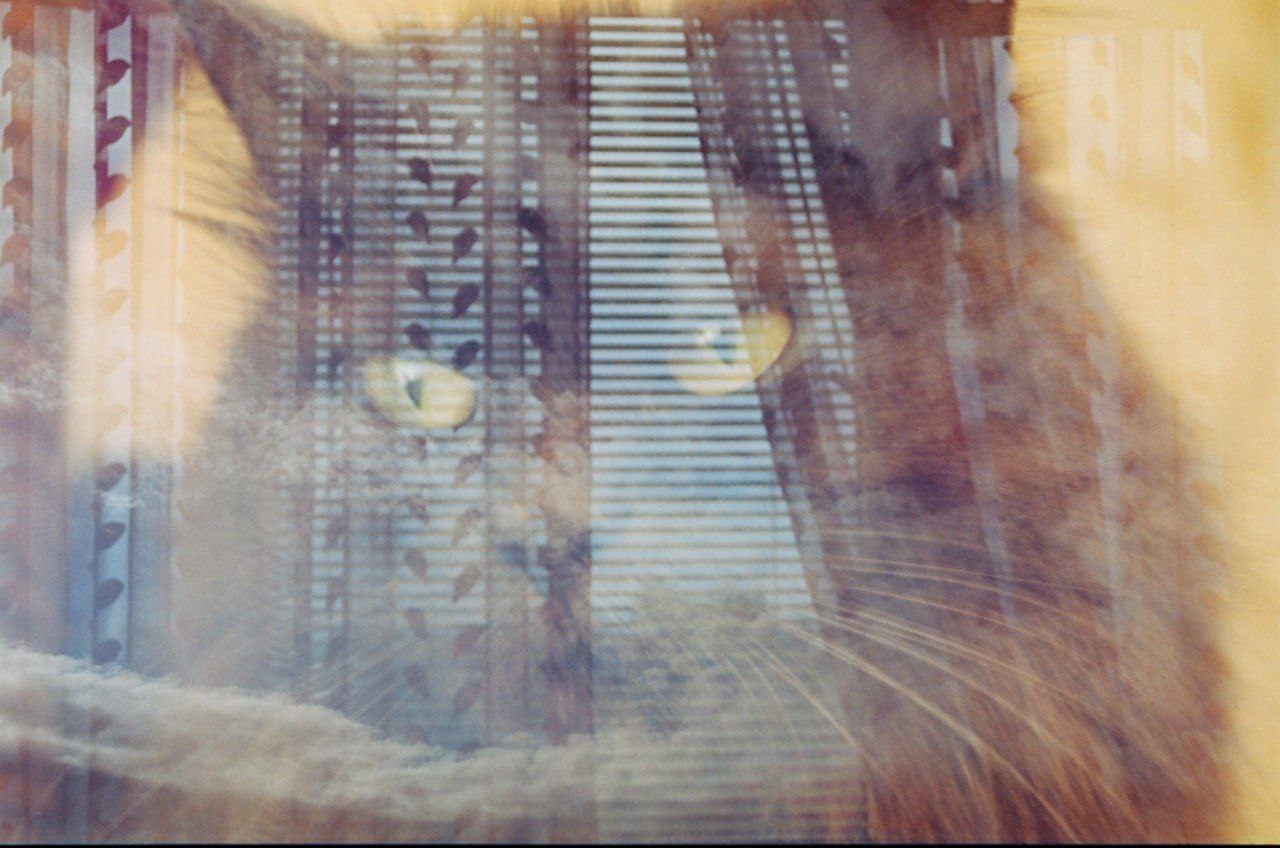 Мистический Кемерово: когда пятница не 13-е, но можно всё равно увидеть загадочное и таинственное при свете даже обычного фонаря Мистический Кемерово: когда пятница не 13-е, но можно всё равно увидеть загадочное и таинственное при свете даже обычного фонаря