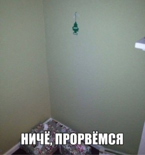 Российские ИК почти на 50% сократили траты на ёлки и новогодние украшения