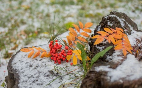 Осенняя зима или зимняя осень: запускаем в Кемерове режим "всё хорошее включено"