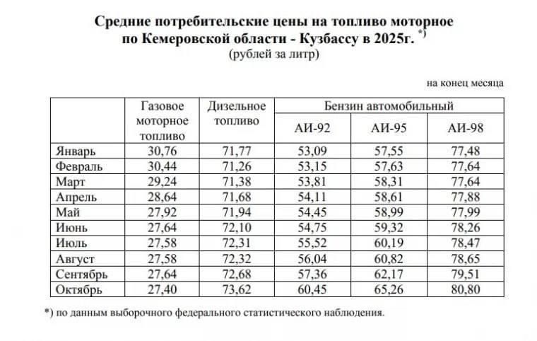 Цены на бензин в Кузбассе: плюс 7 рублей за 10 месяцев