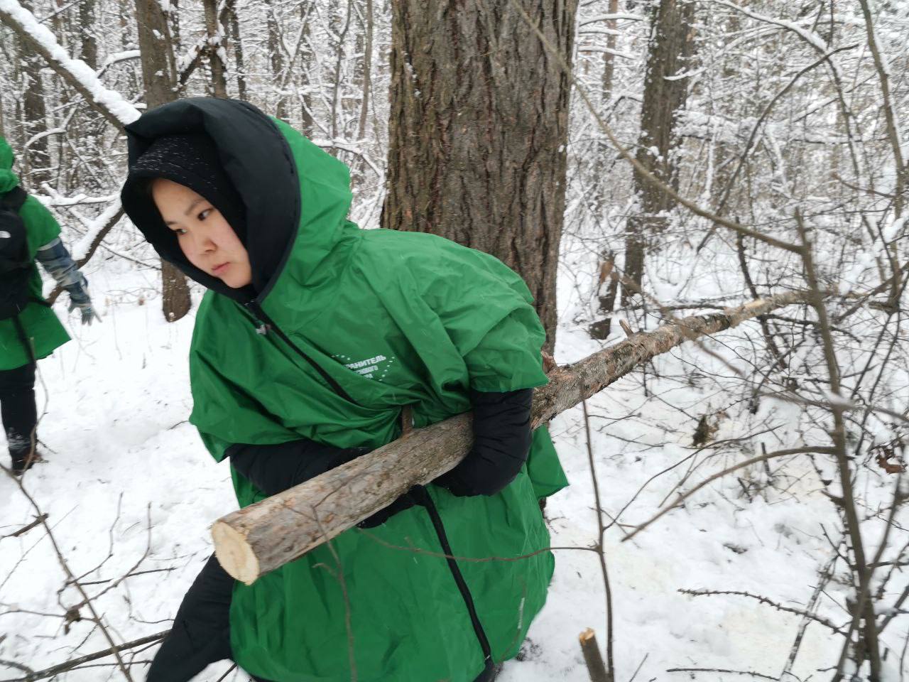 В Кемерове продолжаются работы по оздоровлению Рудничного бора В Кемерове продолжаются работы по оздоровлению Рудничного бора