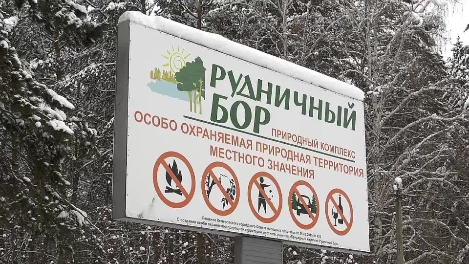В Кемерове продолжаются работы по оздоровлению Рудничного бора