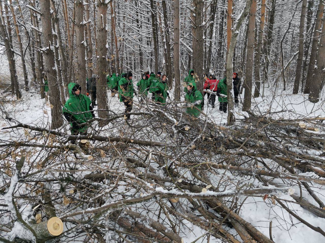 В Кемерове продолжаются работы по оздоровлению Рудничного бора В Кемерове продолжаются работы по оздоровлению Рудничного бора