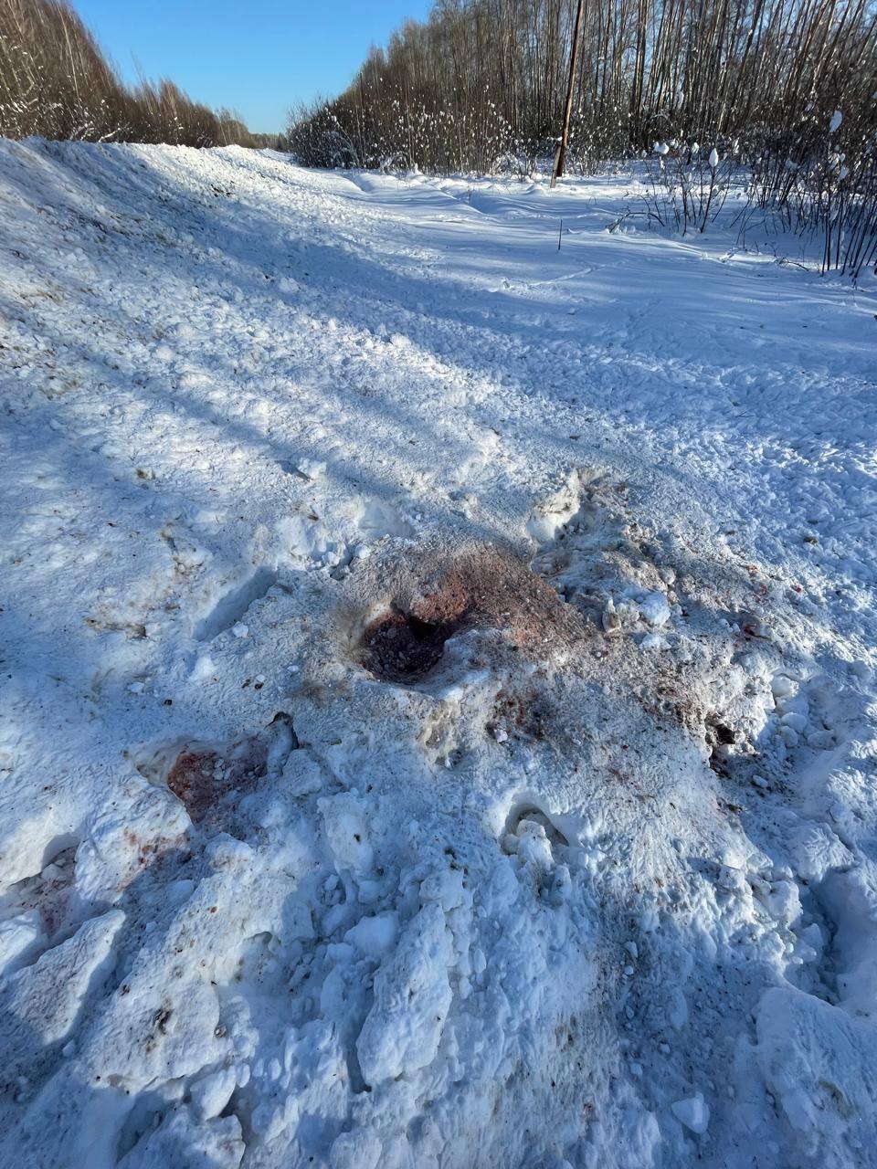 Животные погибли не от отравления: в профильном министерстве прокомментировали сообщения о гибели косулей в Топкинском округе от дорожных реагентов Животные погибли не от отравления: в профильном министерстве прокомментировали сообщения о гибели косулей в Топкинском округе от дорожных реагентов