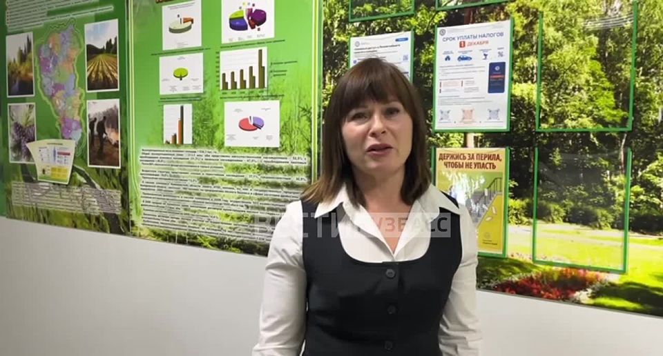 Животные погибли не от отравления: в профильном министерстве прокомментировали сообщения о гибели косулей в Топкинском округе от дорожных реагентов