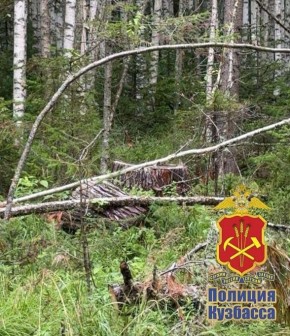 В Мариинске перед судом предстанет местный житель, обвиняемый в незаконной рубке деревьев