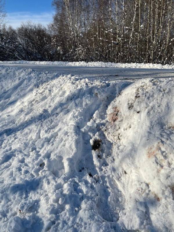 Животные погибли не от отравления: в профильном министерстве прокомментировали сообщения о гибели косулей в Топкинском округе от дорожных реагентов Животные погибли не от отравления: в профильном министерстве прокомментировали сообщения о гибели косулей в Топкинском округе от дорожных реагентов