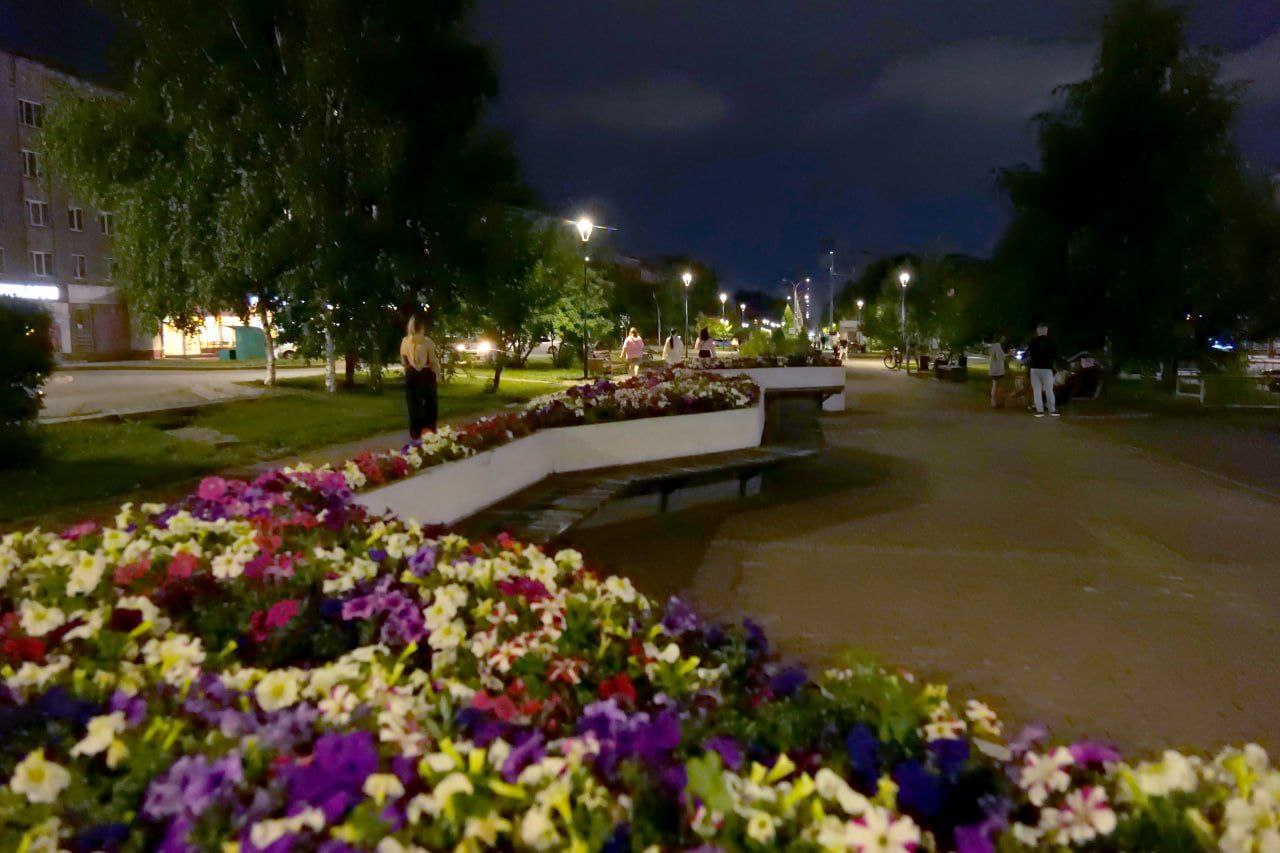 Магия лета среди снежного ноября в Кемерове: в последние дни осени вспоминаем теплые прогулки по прекрасным паркам и скверам Магия лета среди снежного ноября в Кемерове: в последние дни осени вспоминаем теплые прогулки по прекрасным паркам и скверам