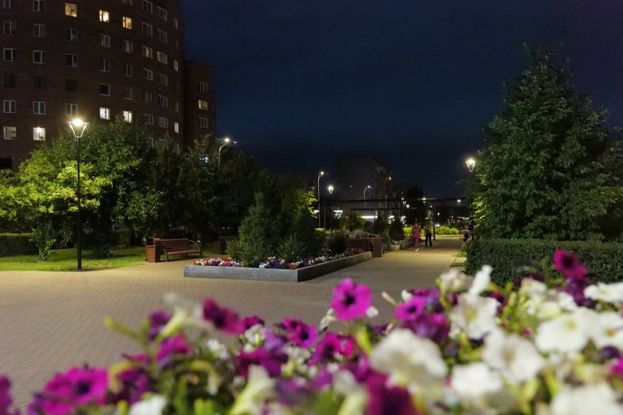 Магия лета среди снежного ноября в Кемерове: в последние дни осени вспоминаем теплые прогулки по прекрасным паркам и скверам