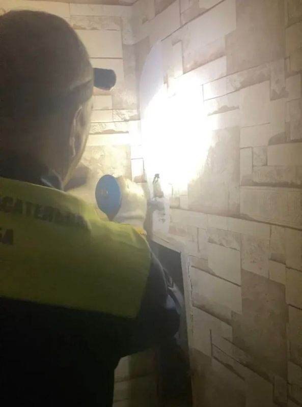 Грозу мышей вернули хозяйке после путешествия по каналам