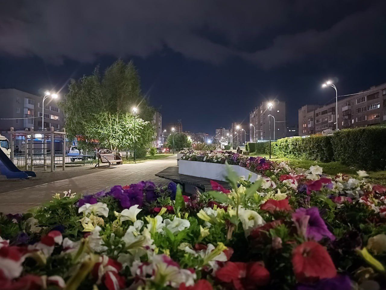 Магия лета среди снежного ноября в Кемерове: в последние дни осени вспоминаем теплые прогулки по прекрасным паркам и скверам Магия лета среди снежного ноября в Кемерове: в последние дни осени вспоминаем теплые прогулки по прекрасным паркам и скверам