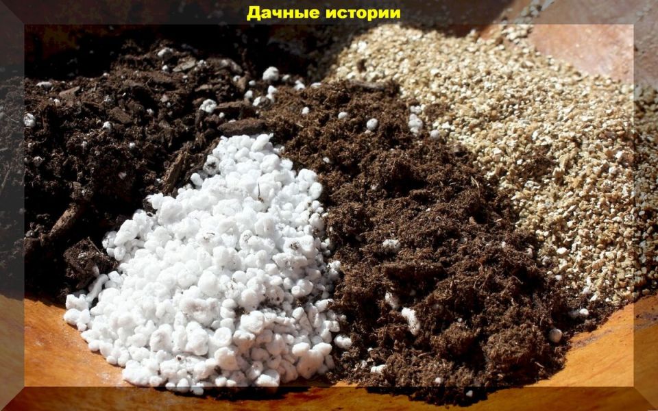 Грунт для рассады: как создать идеальные условия для роста