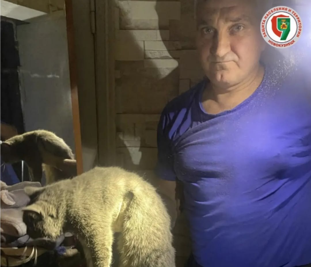 Грозу мышей вернули хозяйке после путешествия по каналам Грозу мышей вернули хозяйке после путешествия по каналам