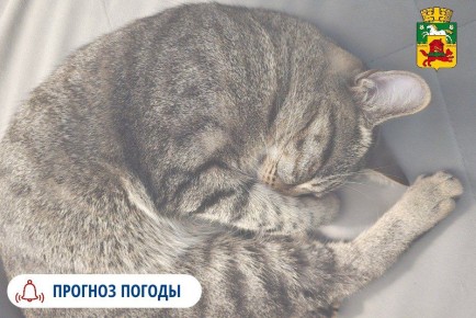 Погода в Кемеровской области на 27, 28 и 29 ноября