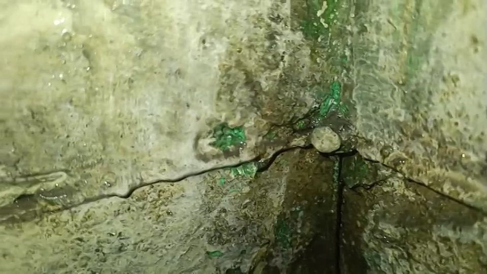 «Потерь по карпам нет». Воду из подвала дома, где кемеровчанка развела карпов, откачали