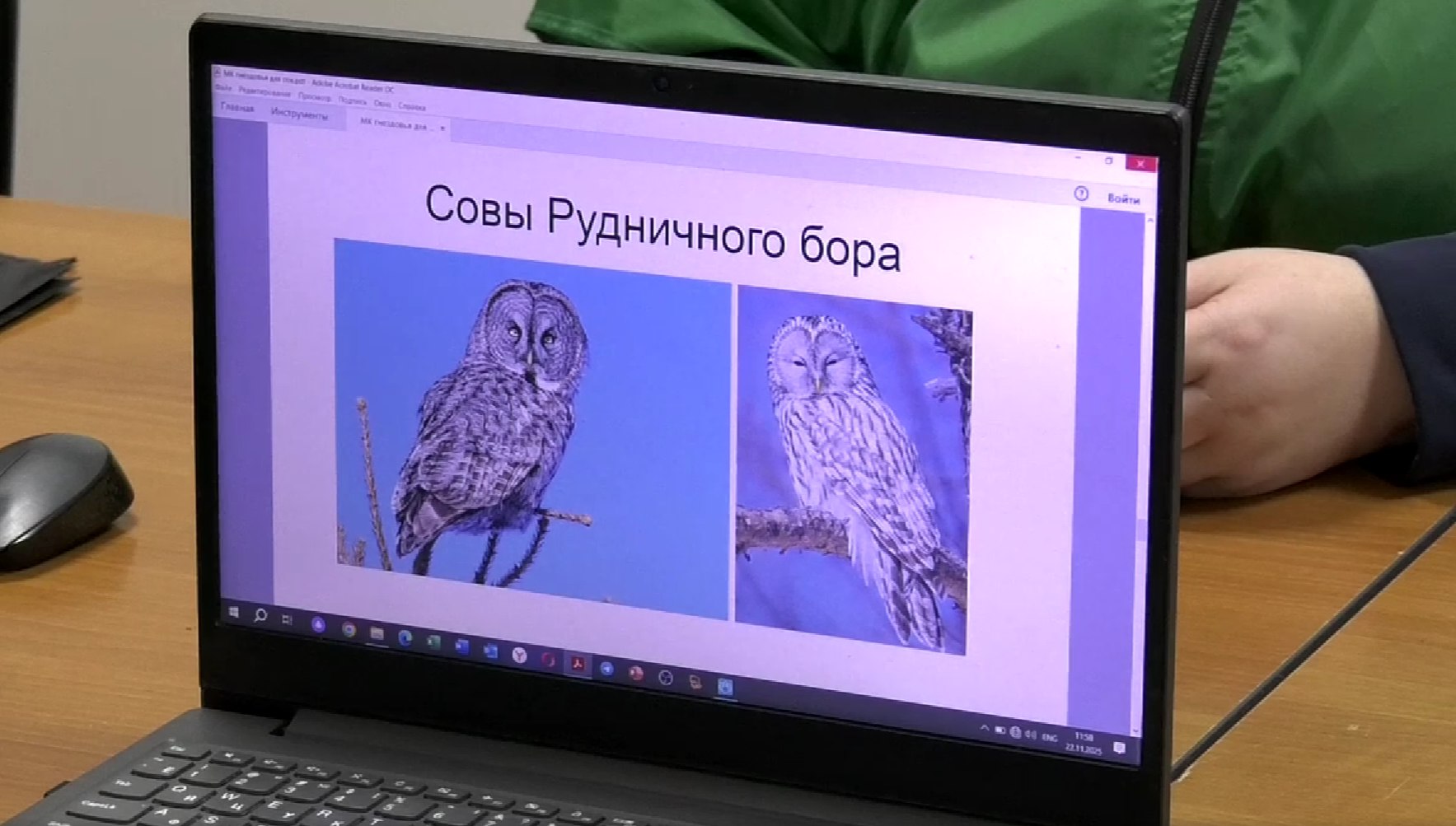 Юные кемеровские орнитологи изучают и охраняют птиц Рудничного бора Юные кемеровские орнитологи изучают и охраняют птиц Рудничного бора