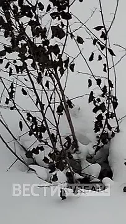 На открытые колодцы на проспекте Химиков пожаловались кемеровчане