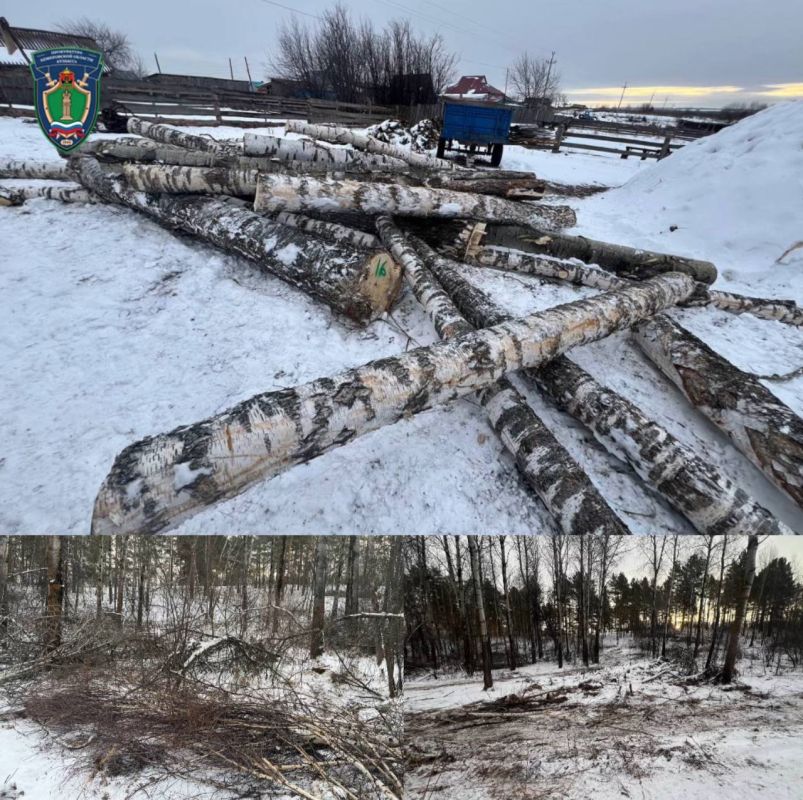 Комплексный план декриминализации сферы экологии и природопользования в действии