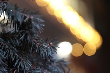 Столица Кузбасса готовится к Новому году: с 15 декабря начнут работать елочные базары